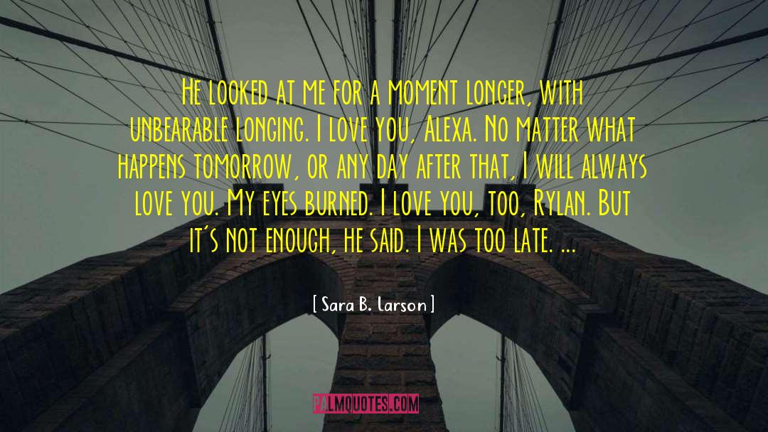 Sara B. Larson Quotes: He looked at me for