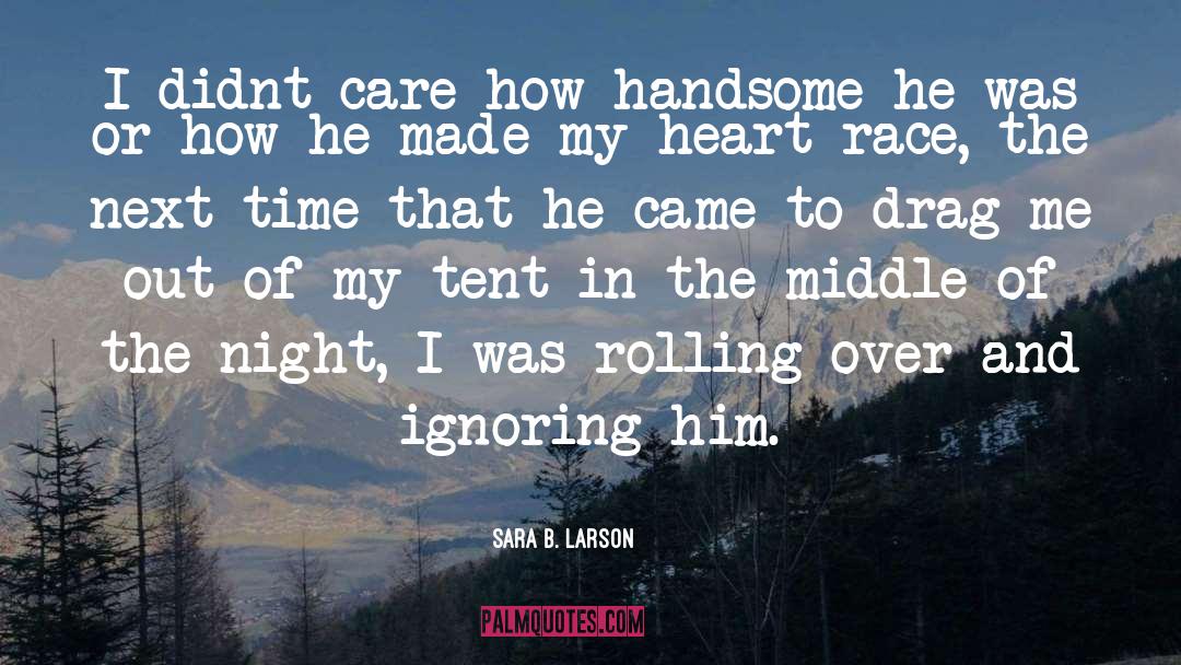 Sara B. Larson Quotes: I didnt care how handsome