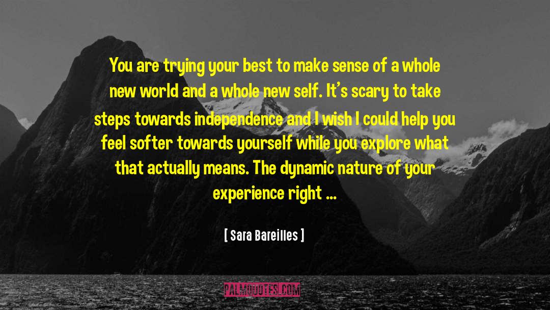 Sara Bareilles Quotes: You are trying your best