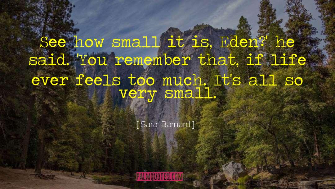Sara  Barnard Quotes: See how small it is,