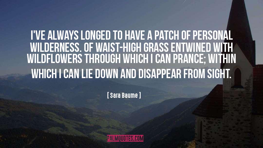 Sara Baume Quotes: I've always longed to have