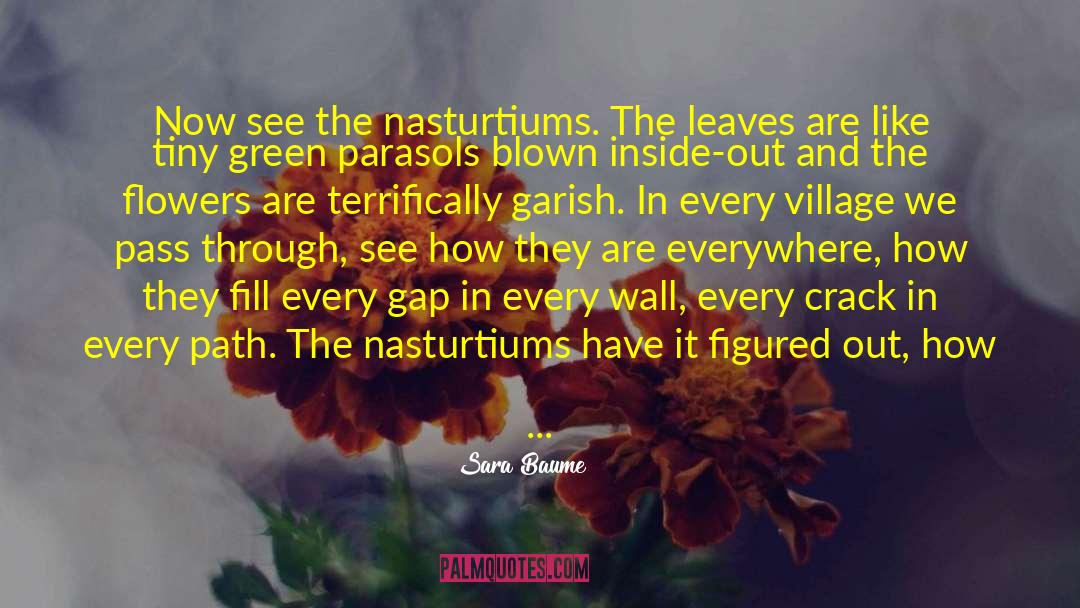 Sara Baume Quotes: Now see the nasturtiums. The