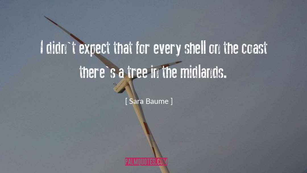 Sara Baume Quotes: I didn't expect that for