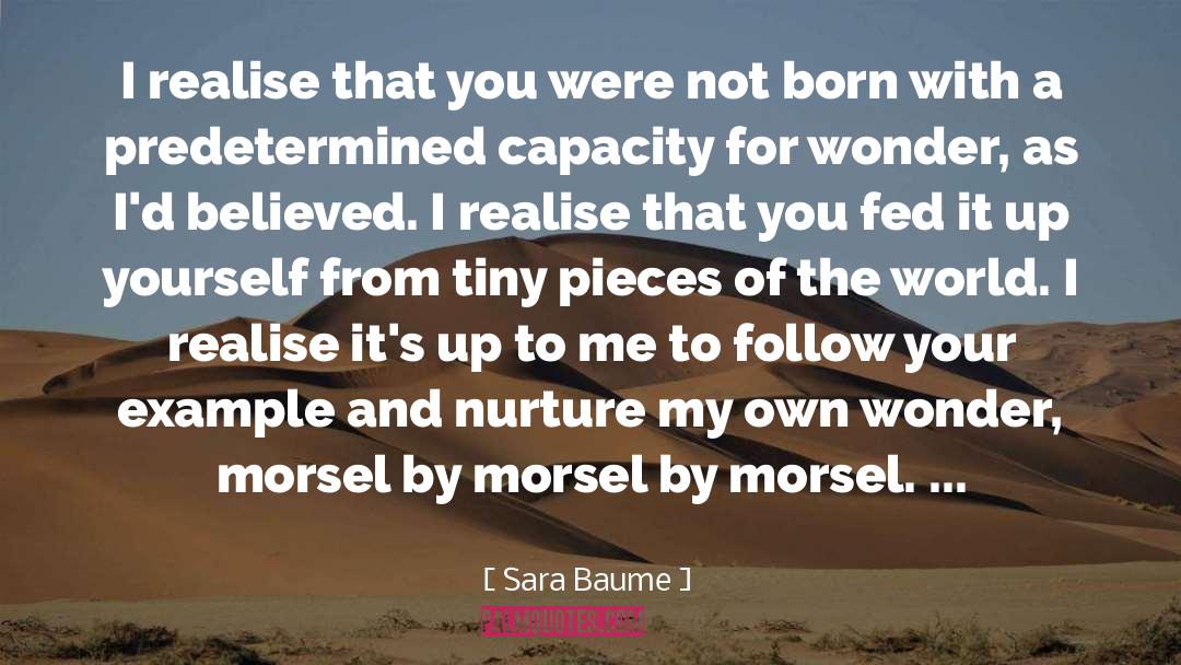 Sara Baume Quotes: I realise that you were