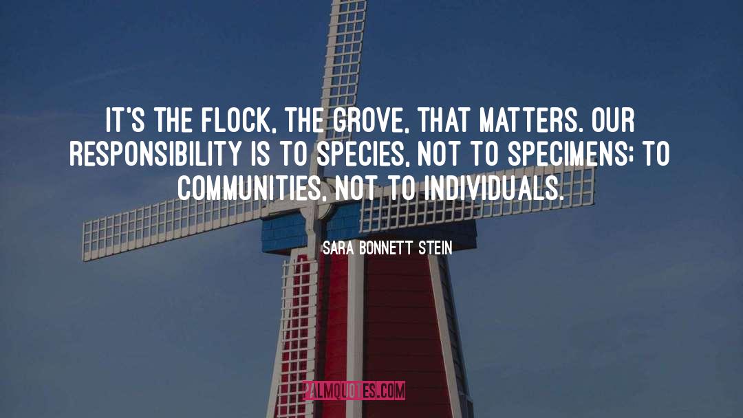 Sara Bonnett Stein Quotes: It's the flock, the grove,