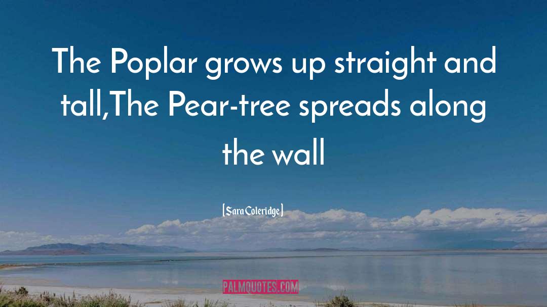 Sara Coleridge Quotes: The Poplar grows up straight