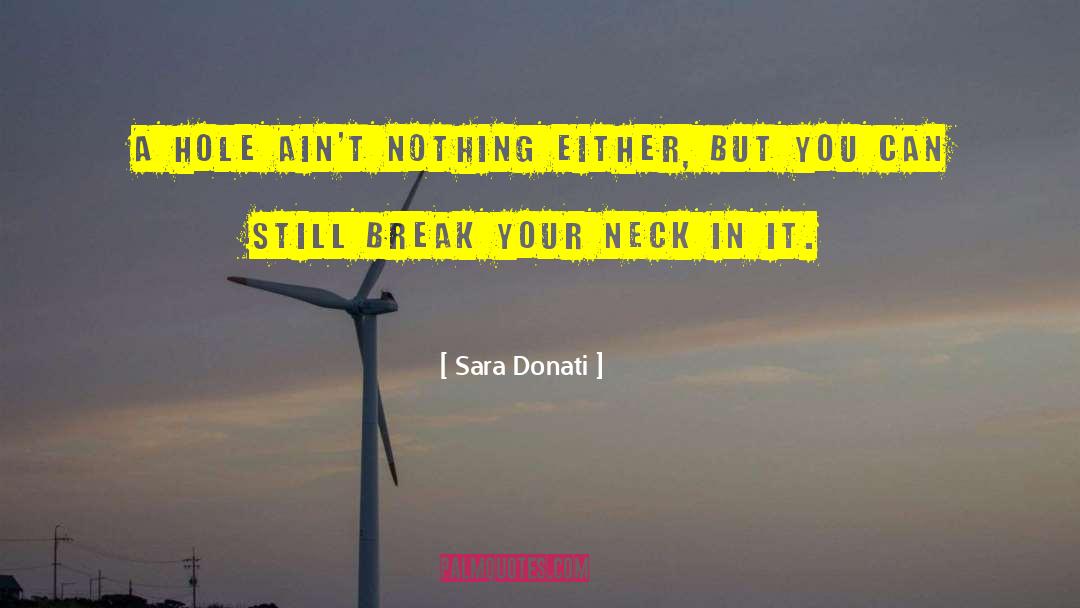 Sara Donati Quotes: A hole ain't nothing either,