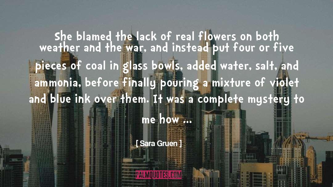Sara Gruen Quotes: She blamed the lack of