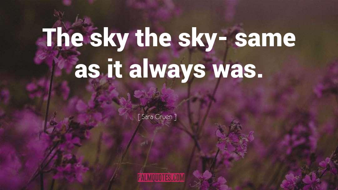 Sara Gruen Quotes: The sky the sky- same