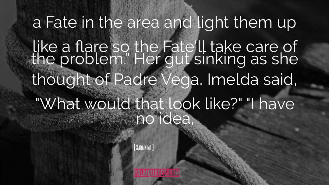 Sara King Quotes: a Fate in the area