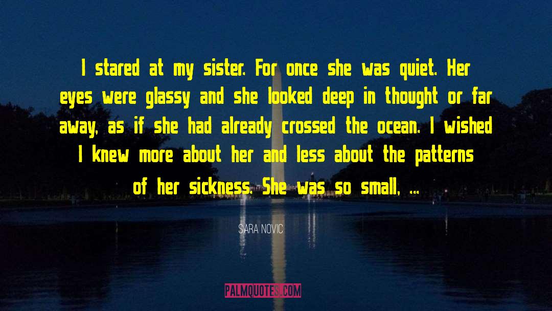 Sara Novic Quotes: I stared at my sister.