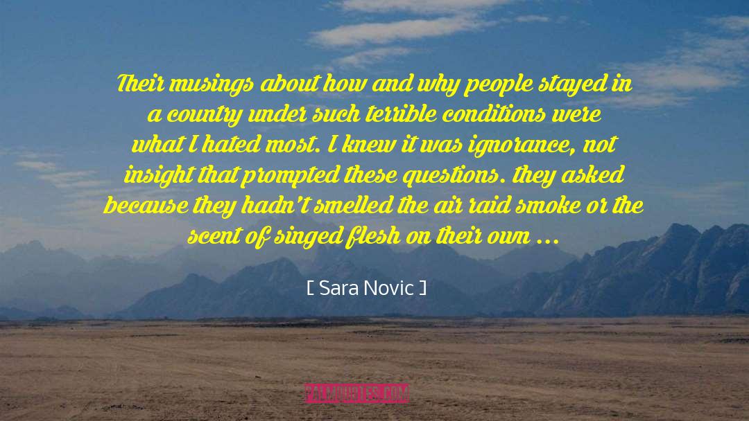 Sara Novic Quotes: Their musings about how and
