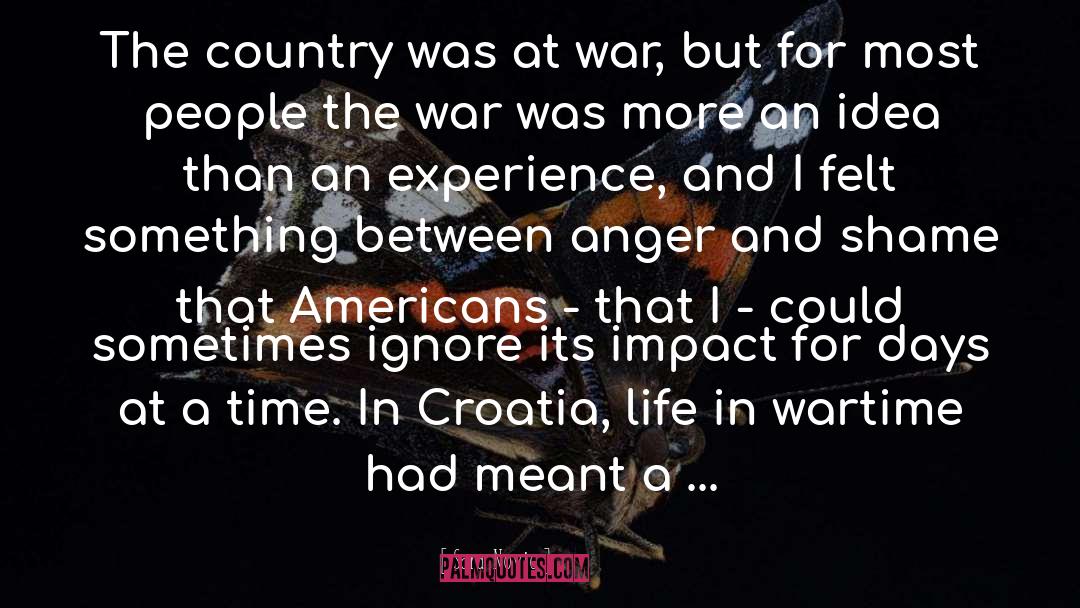 Sara Novic Quotes: The country was at war,