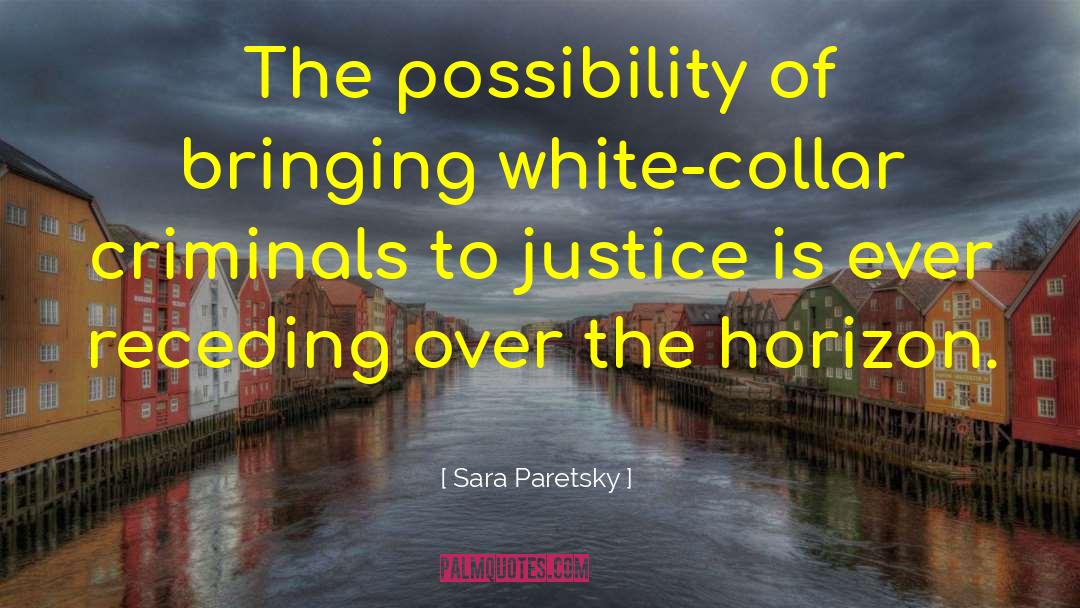 Sara Paretsky Quotes: The possibility of bringing white-collar