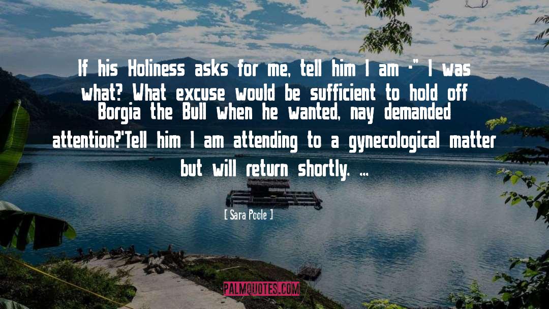 Sara Poole Quotes: If his Holiness asks for