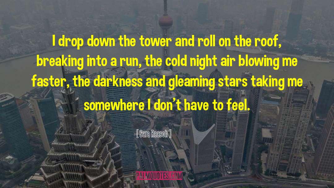 Sara Raasch Quotes: I drop down the tower