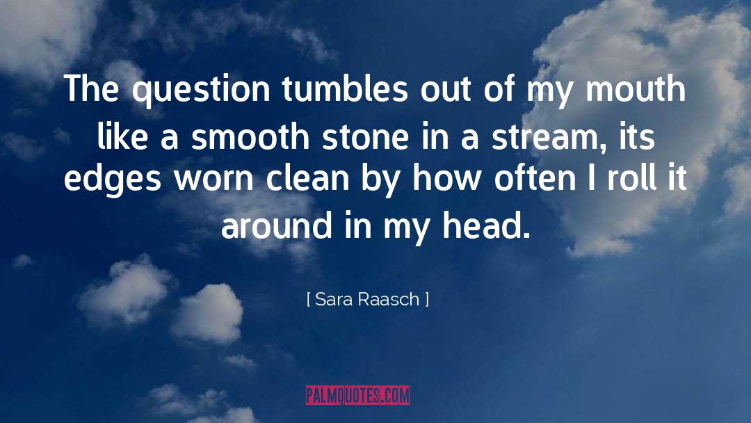 Sara Raasch Quotes: The question tumbles out of
