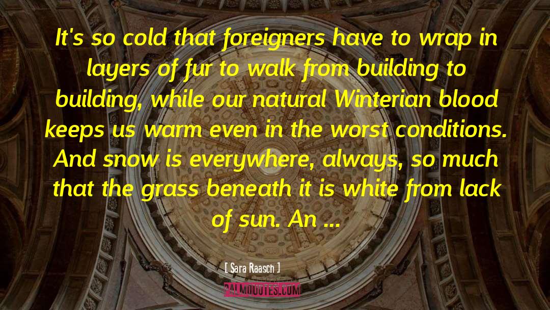 Sara Raasch Quotes: It's so cold that foreigners