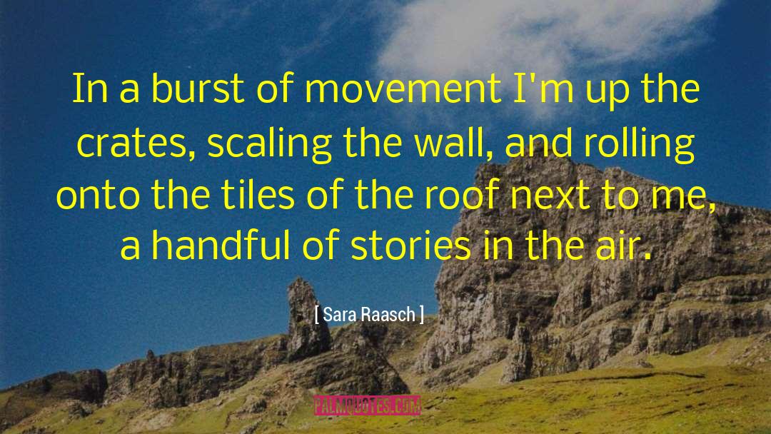Sara Raasch Quotes: In a burst of movement