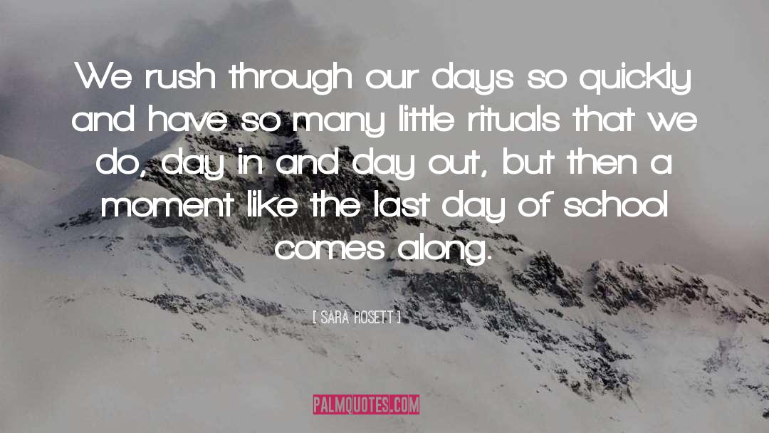 Sara Rosett Quotes: We rush through our days