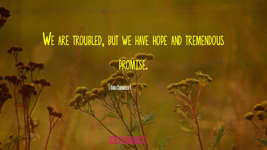 Sara Shandler Quotes: We are troubled, but we