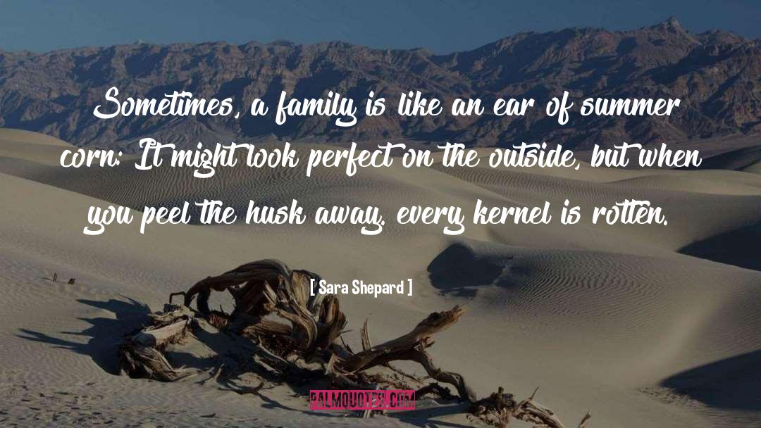 Sara Shepard Quotes: Sometimes, a family is like