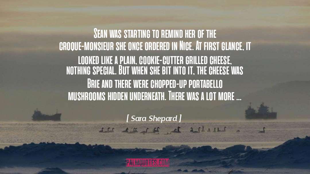 Sara Shepard Quotes: Sean was starting to remind