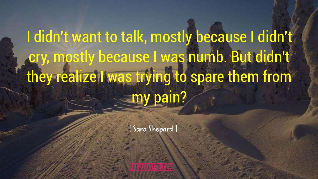 Sara Shepard Quotes: I didn't want to talk,