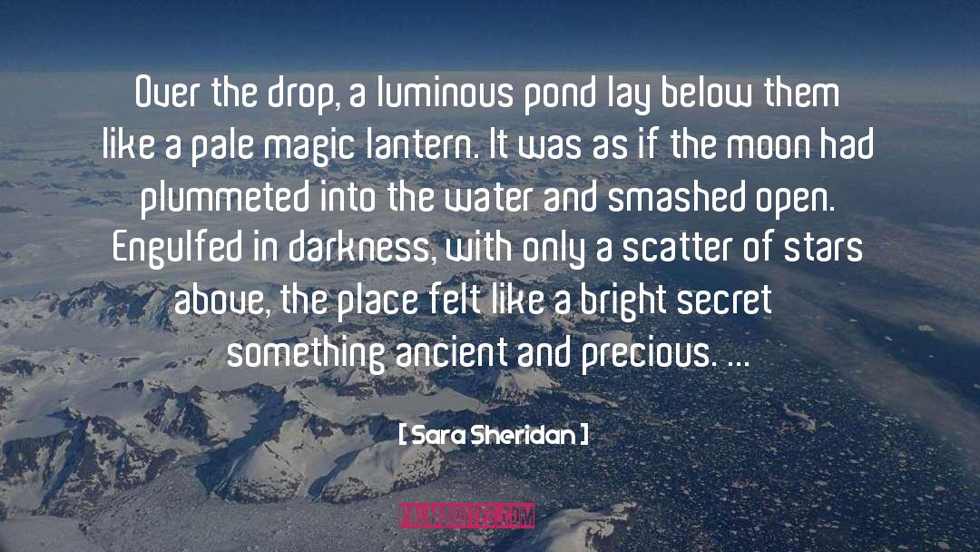 Sara Sheridan Quotes: Over the drop, a luminous