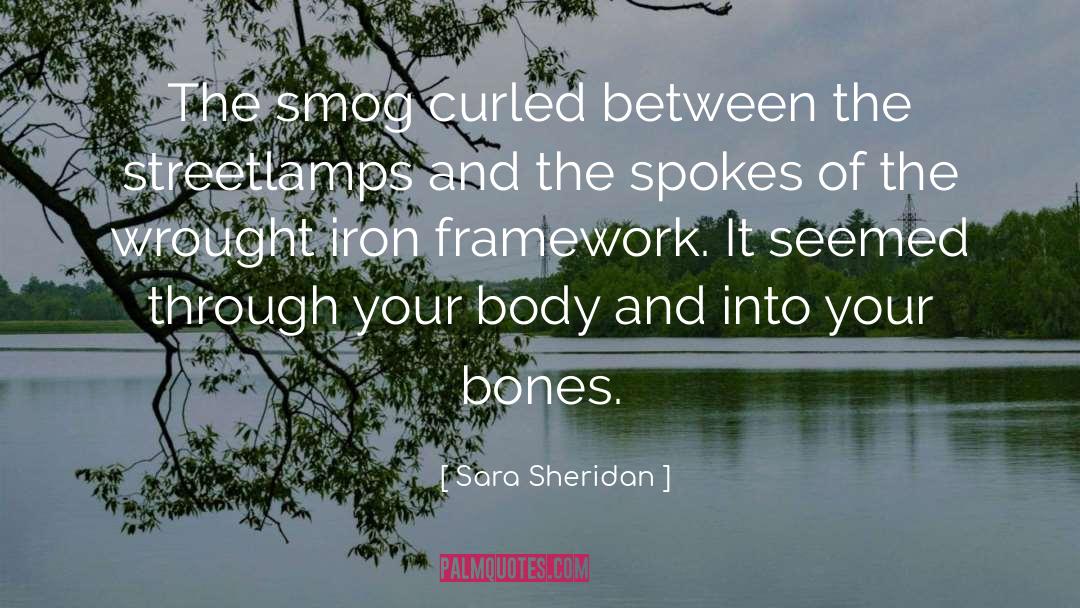 Sara Sheridan Quotes: The smog curled between the