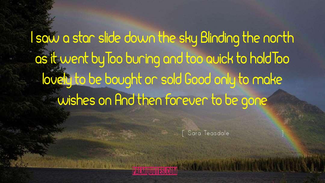 Sara Teasdale Quotes: I saw a star slide