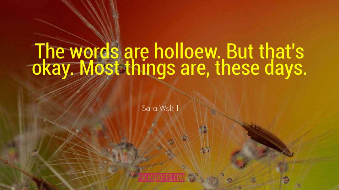 Sara Wolf Quotes: The words are holloew. But