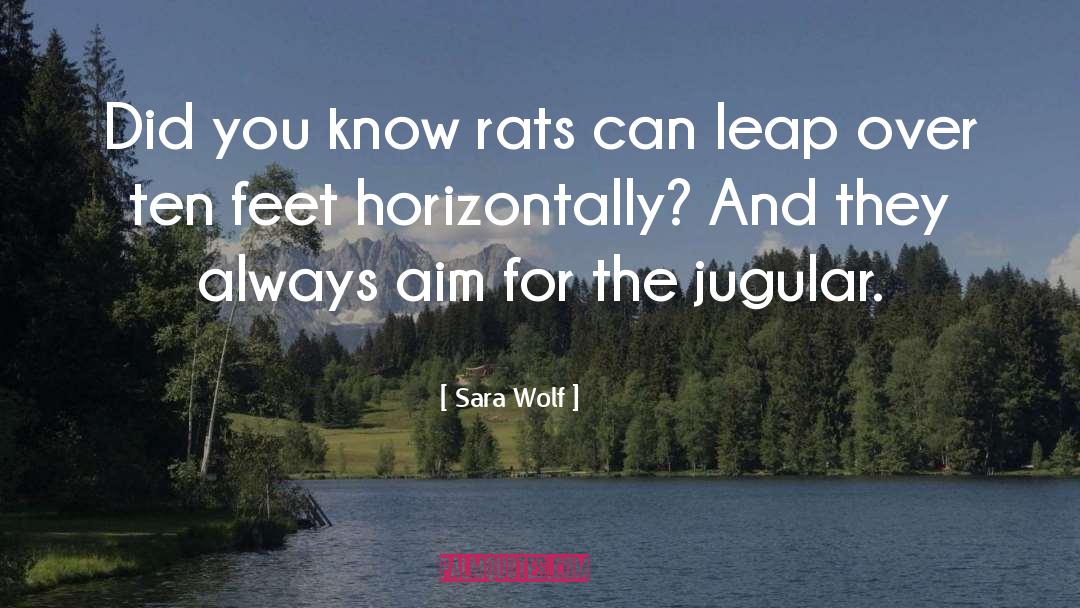 Sara Wolf Quotes: Did you know rats can