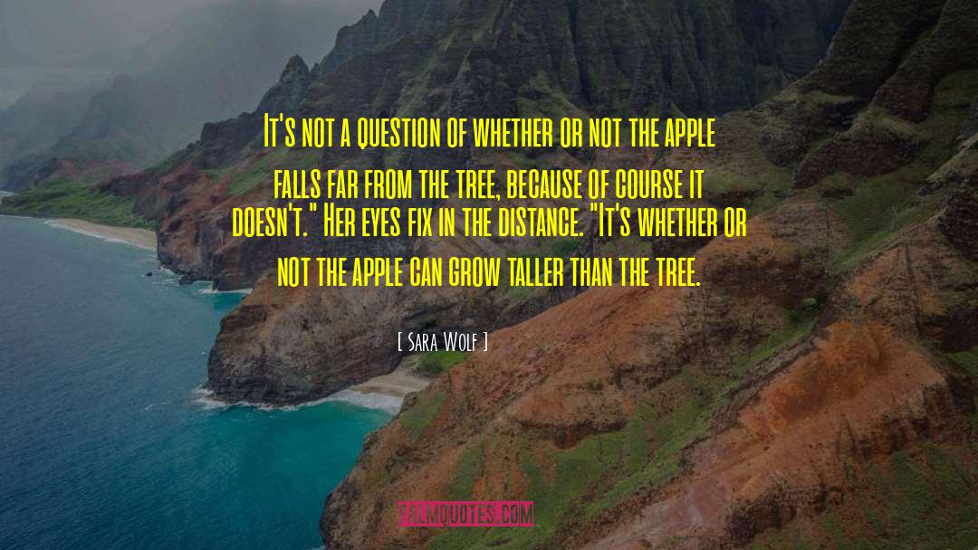 Sara Wolf Quotes: It's not a question of