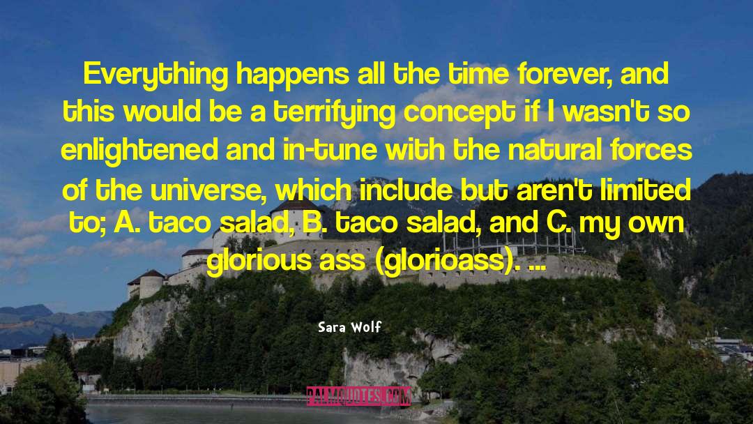 Sara Wolf Quotes: Everything happens all the time