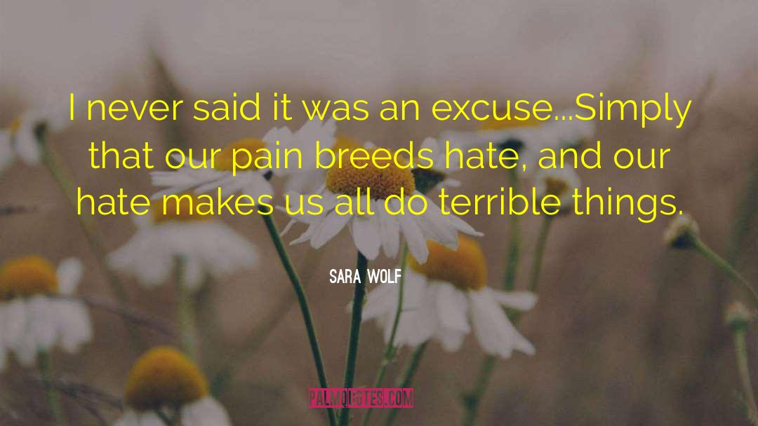 Sara Wolf Quotes: I never said it was