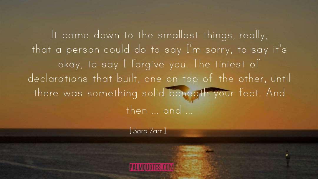 Sara Zarr Quotes: It came down to the