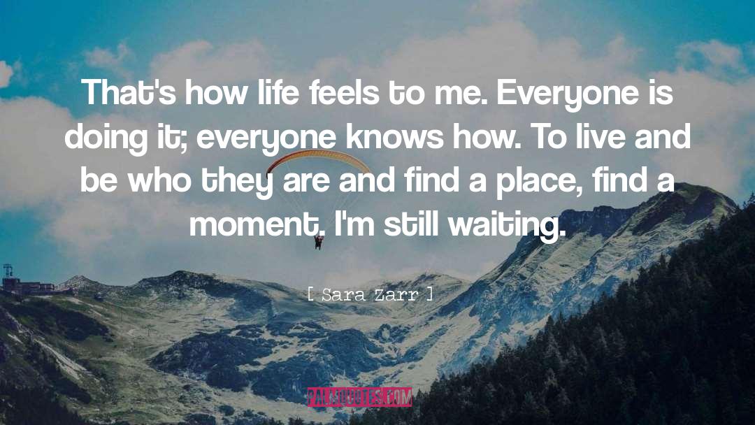 Sara Zarr Quotes: That's how life feels to