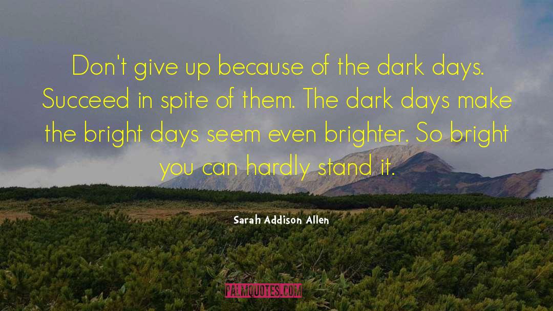 Sarah Addison Allen Quotes: Don't give up because of