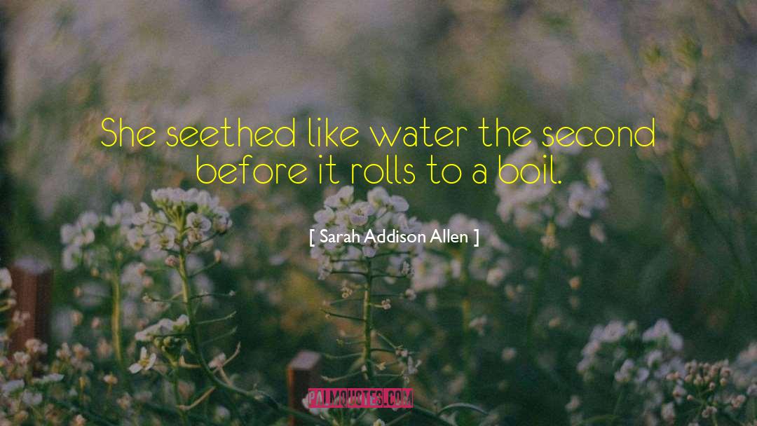 Sarah Addison Allen Quotes: She seethed like water the