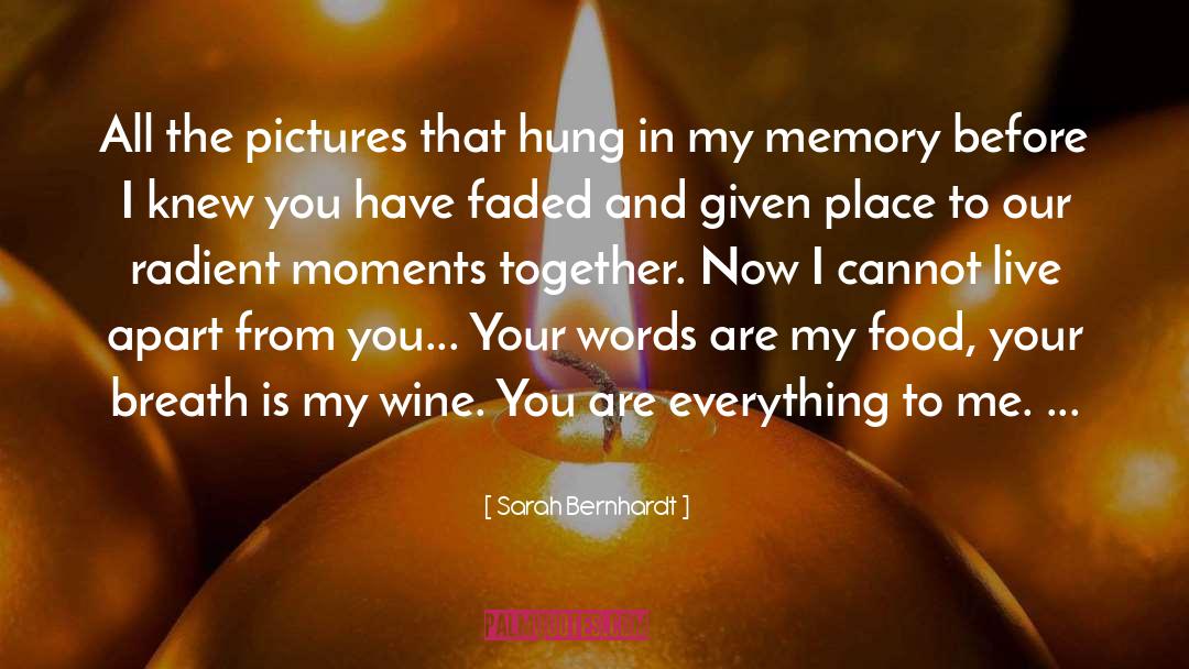 Sarah Bernhardt Quotes: All the pictures that hung