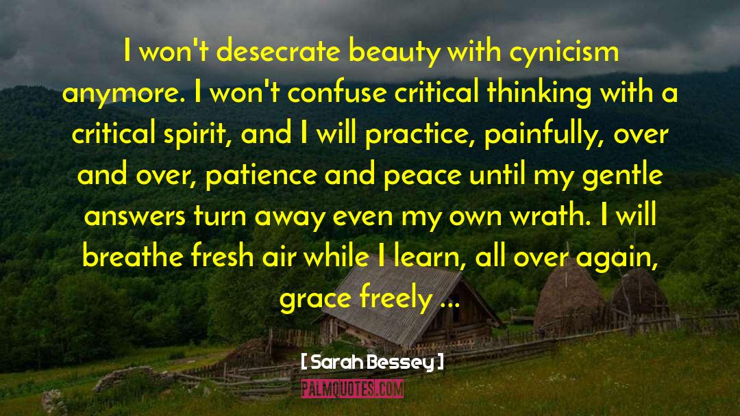 Sarah Bessey Quotes: I won't desecrate beauty with