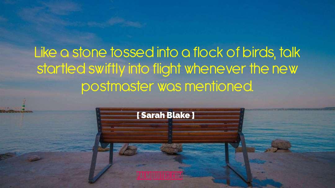 Sarah Blake Quotes: Like a stone tossed into