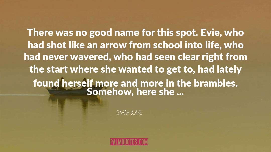 Sarah Blake Quotes: There was no good name