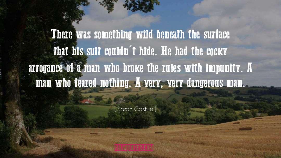 Sarah Castille Quotes: There was something wild beneath