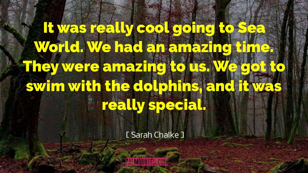 Sarah Chalke Quotes: It was really cool going