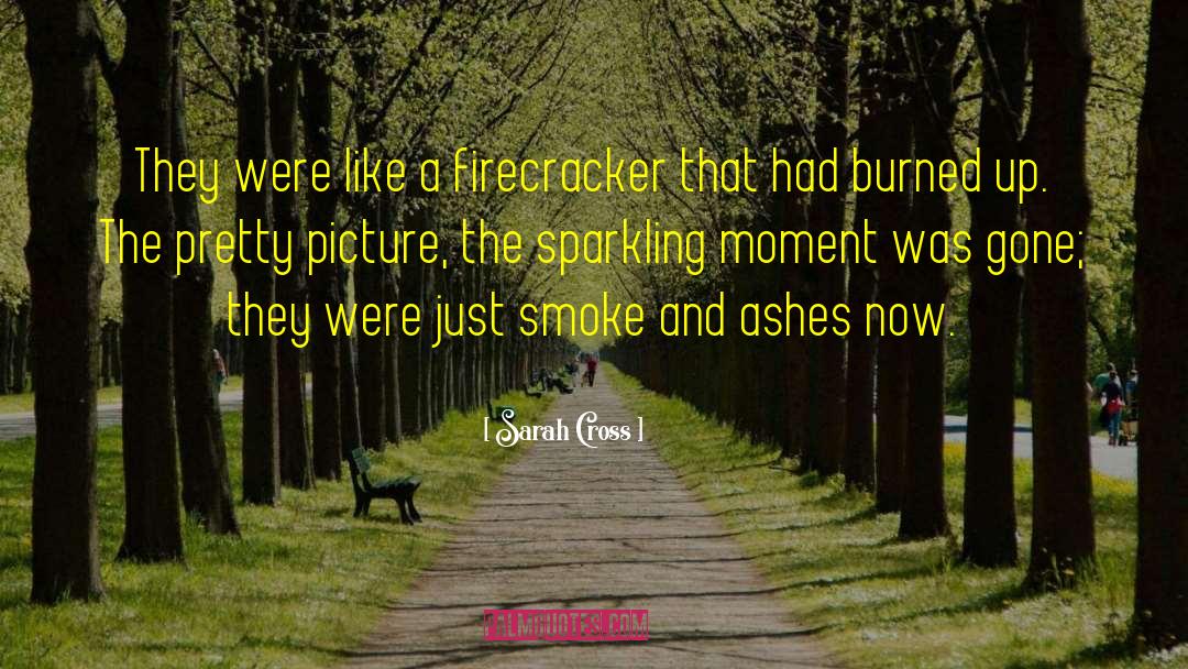 Sarah Cross Quotes: They were like a firecracker
