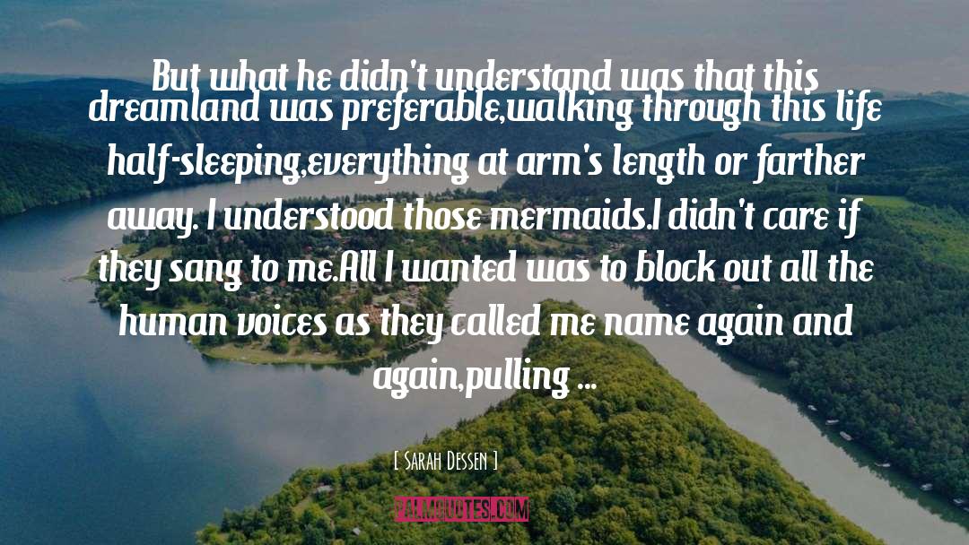 Sarah Dessen Quotes: But what he didn't understand