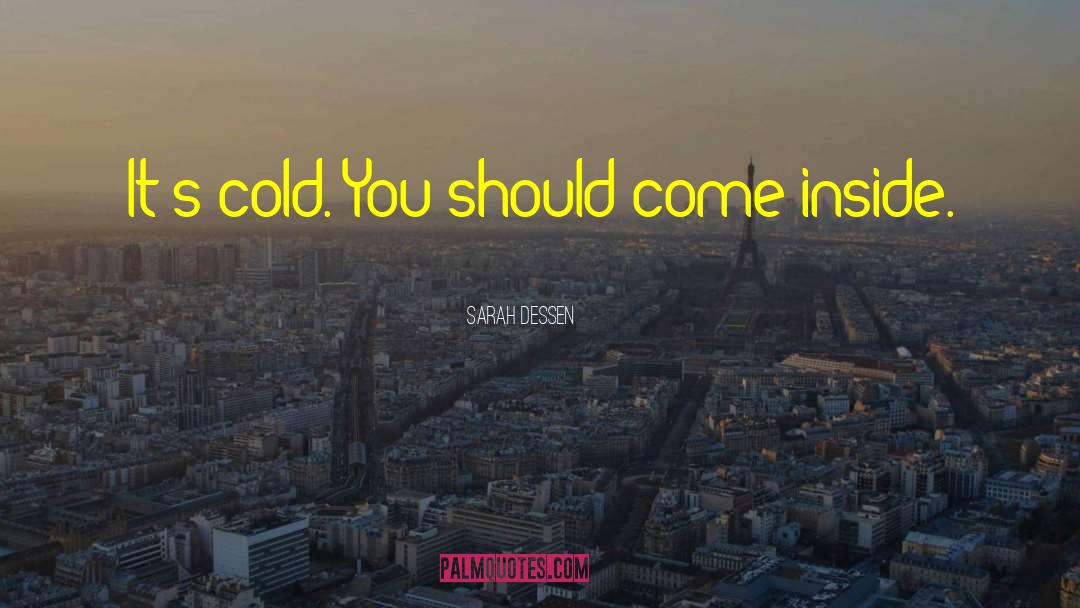 Sarah Dessen Quotes: It's cold. You should come