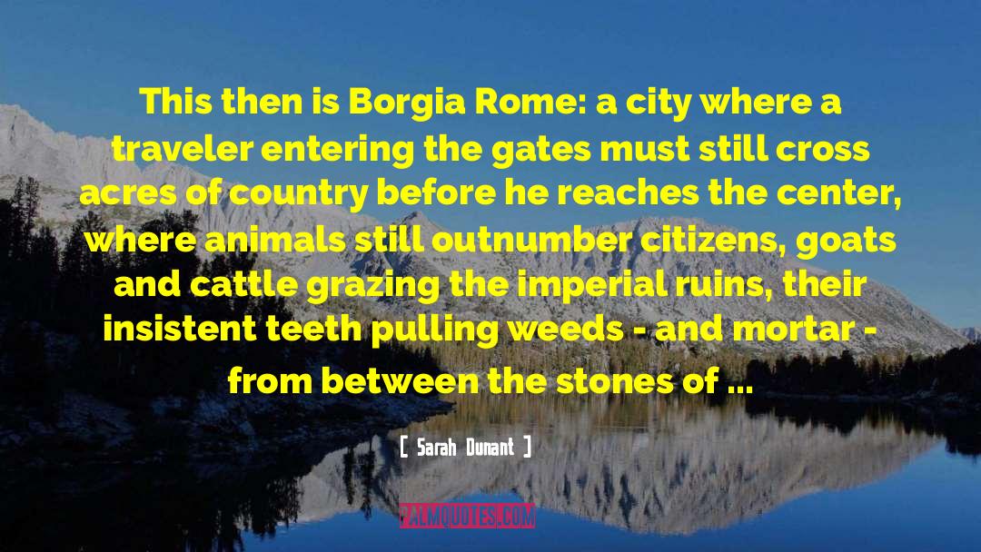 Sarah Dunant Quotes: This then is Borgia Rome: